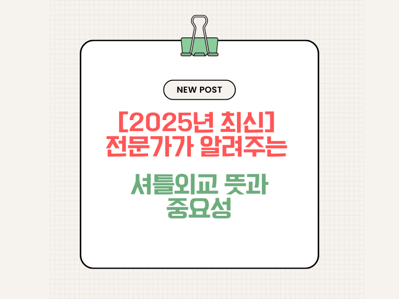 셔틀외교