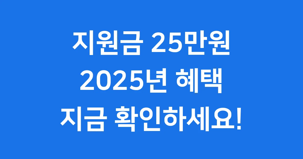 2025년 지원금 25만원 신청방법 자격조건