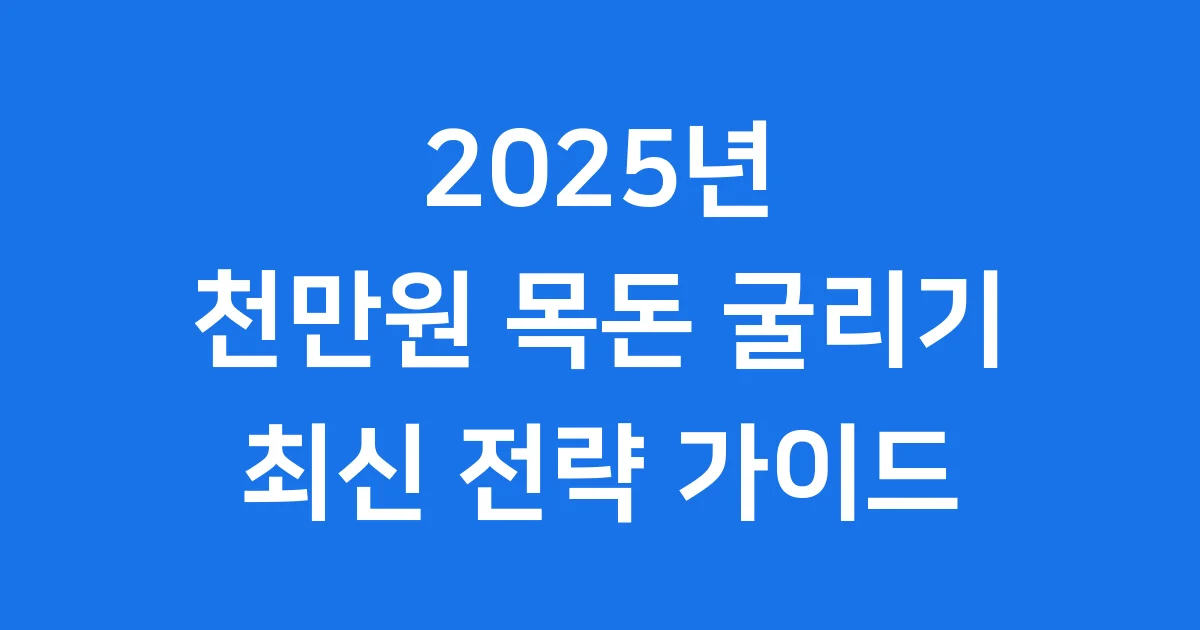 2025년 천만원 목돈 굴리기 전략