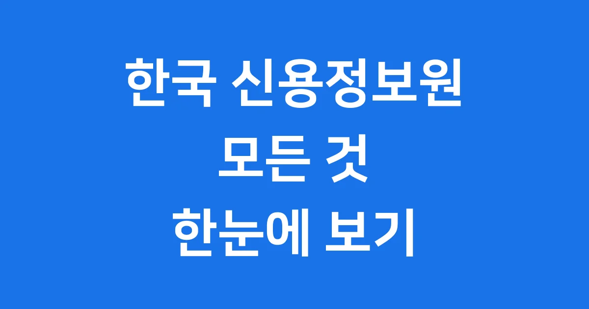 한국 신용정보원의 역할과 중요성