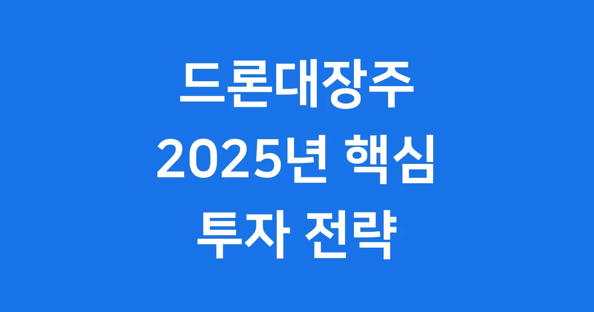 드론대장주 2025년 국내외 핵심 기업 분석