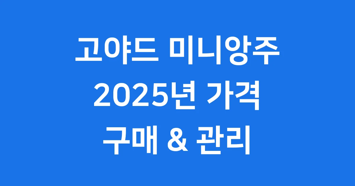 고야드 미니앙주 가격 2025년 구매 관리법