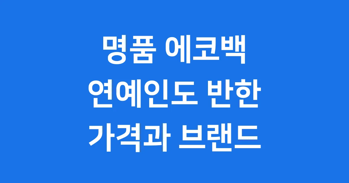 명품 에코백 연예인도 반한 인기 브랜드 가격