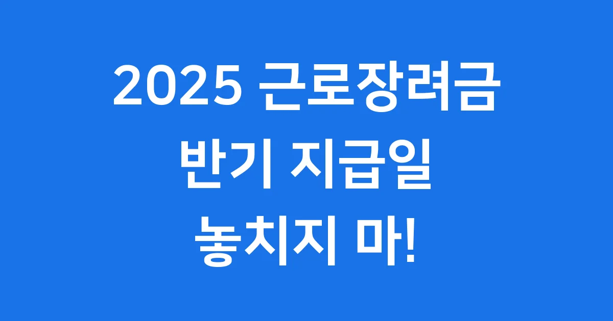 2025 근로장려금 반기 지급일