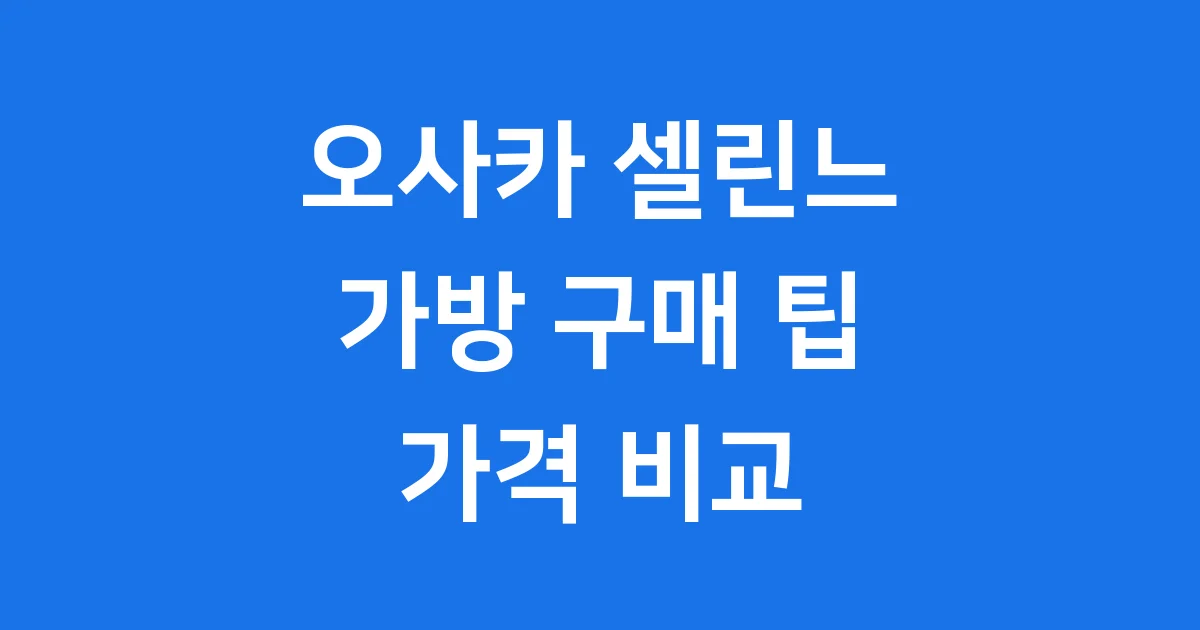 오사카 셀린느 가방 구매 팁 가격 비교 1 오사카 셀린느 가방 구매 팁 가격 비교