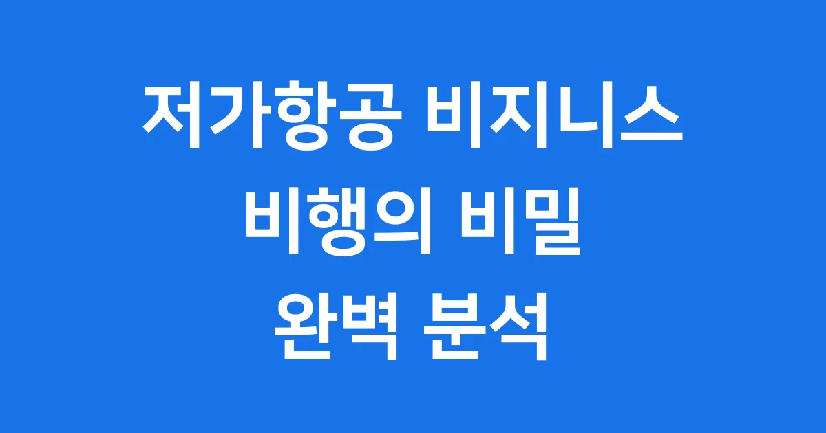 저가항공 비지니스 핵심 분석