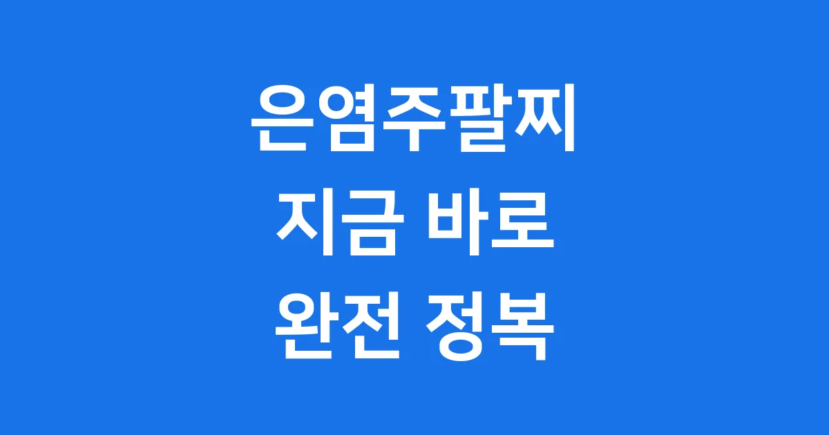은염주팔찌의 모든 것