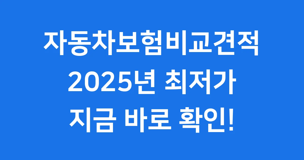 자동차보험비교견적사이트 2025년 최저가 찾는 법