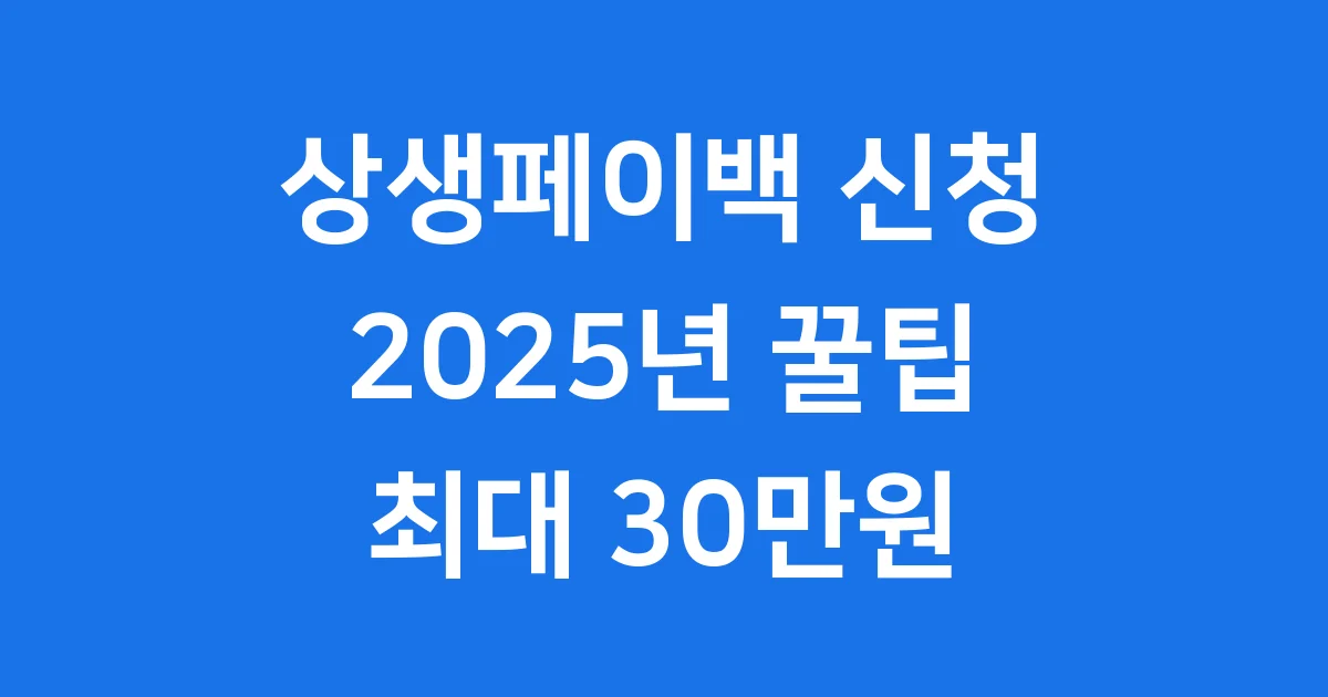 상생페이백 신청방법 2025년 최대 30만원