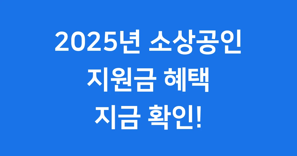 소상공인 지원금 2025년 최신 정보
