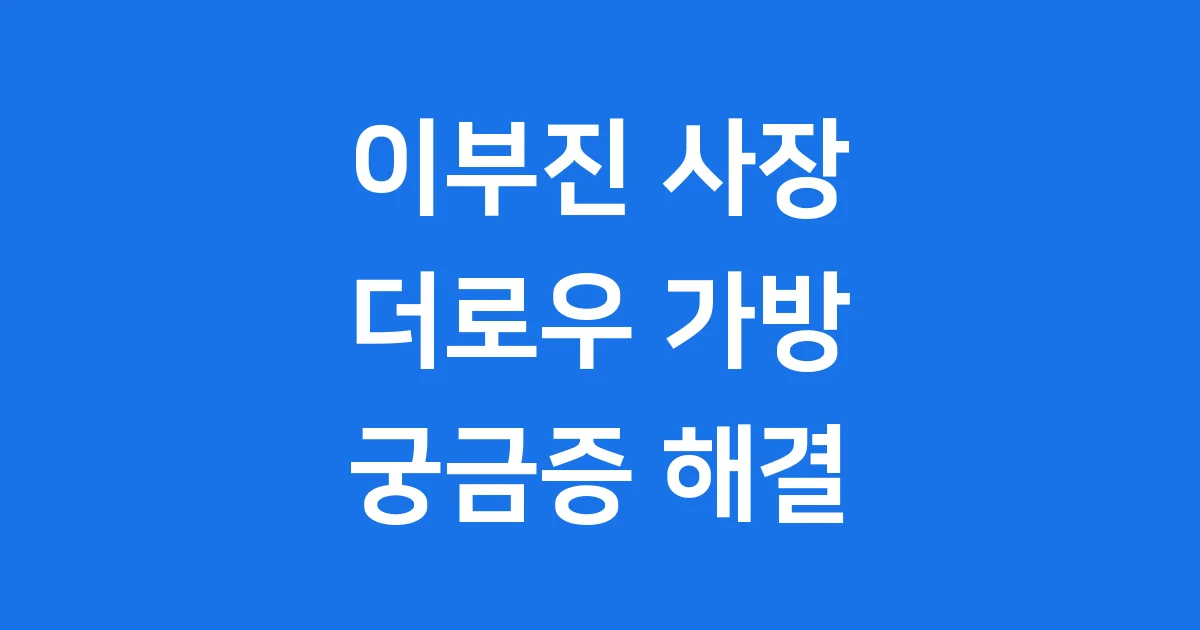 이부진 더로우 가방 인기 모델 가격 구매