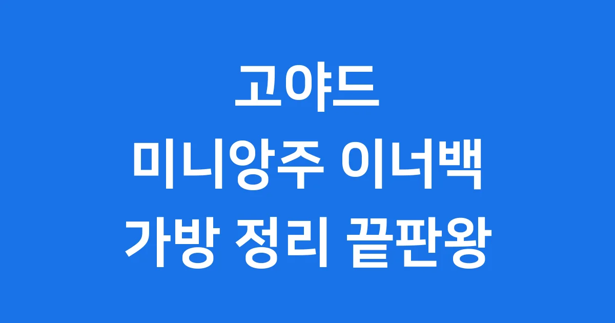 고야드 미니앙주 이너백 네 가방 정리 끝판왕!