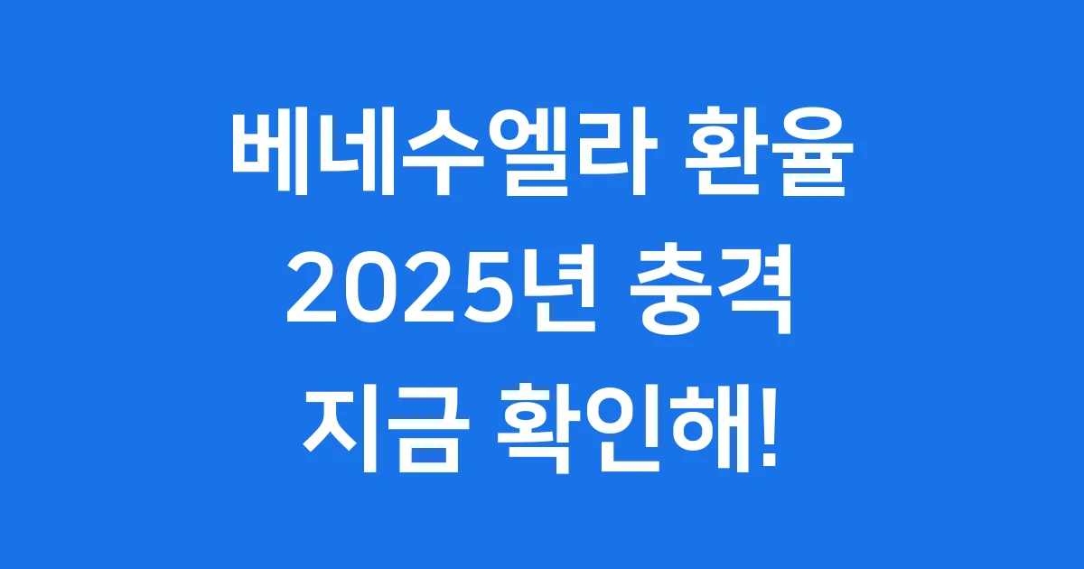 베네수엘라 환율 2025년 최신 동향과 영향 분석