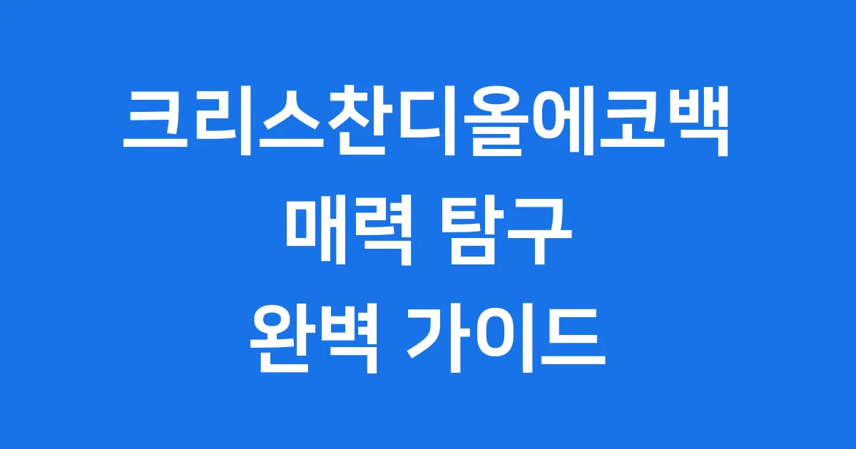 크리스찬디올에코백 특징 가격 한정판