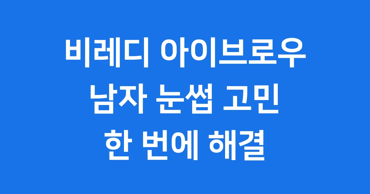 비레디 아이브로우 3in1 남자 눈썹 자연스럽게 그리기