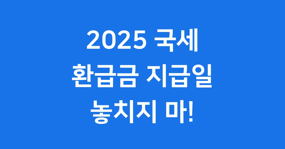2025 국세 환급금 지급일: 놓치지 마!