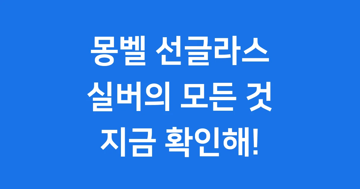 몽벨 선글라스 실버