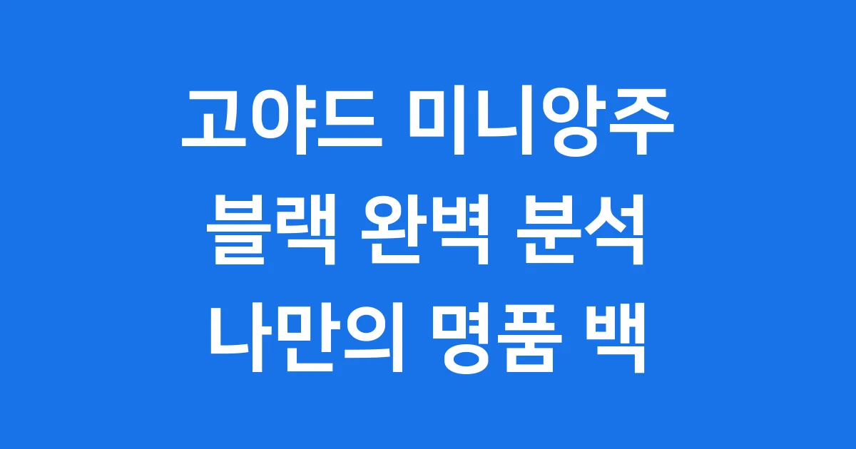 고야드 미니앙주 블랙