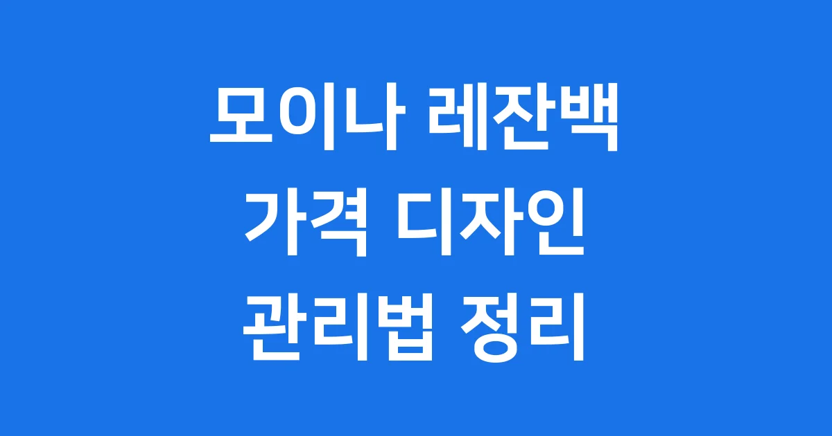 모이나 레잔백 가격 디자인 관리법 완벽 정리 1 모이나 레잔백 가격 디자인 관리법 완벽 정리!