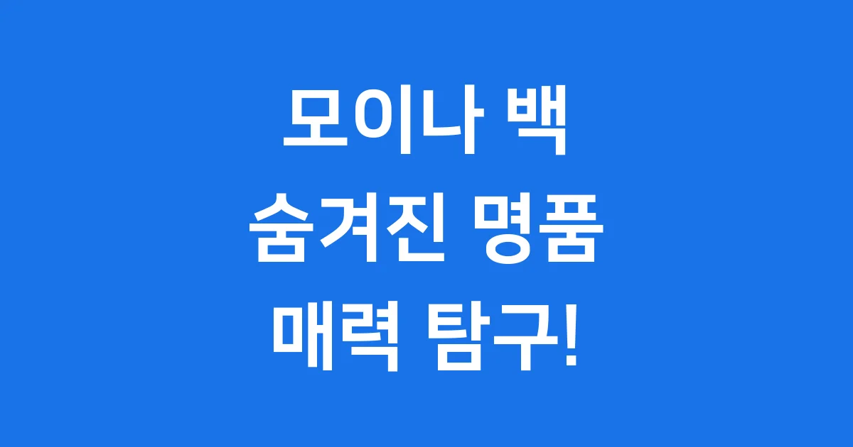 모이나 백 숨겨진 명품의 매력