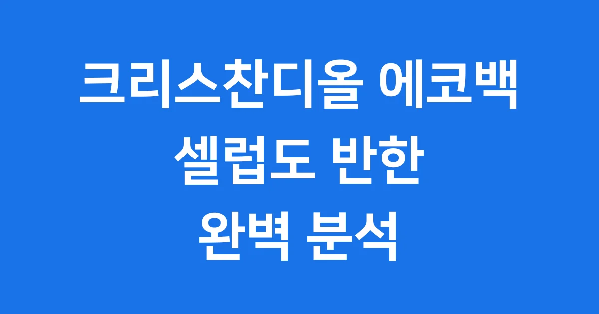 크리스찬디올에코백 구매방법 가격 2025년 완벽 분석 1 크리스찬디올에코백 완벽 분석 구매 가이드