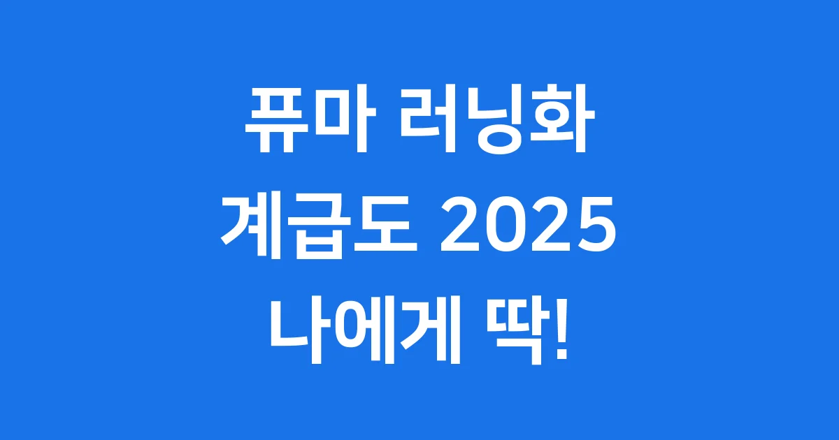 퓨마 러닝화 계급도 2025 라인업 추천 1 퓨마 러닝화 계급도 2025 라인업 추천