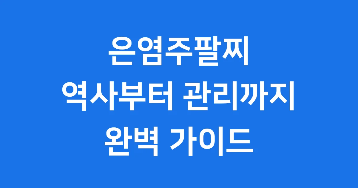 은염주팔찌 역사 특징부터 가격 관리법까지 완벽 정리
