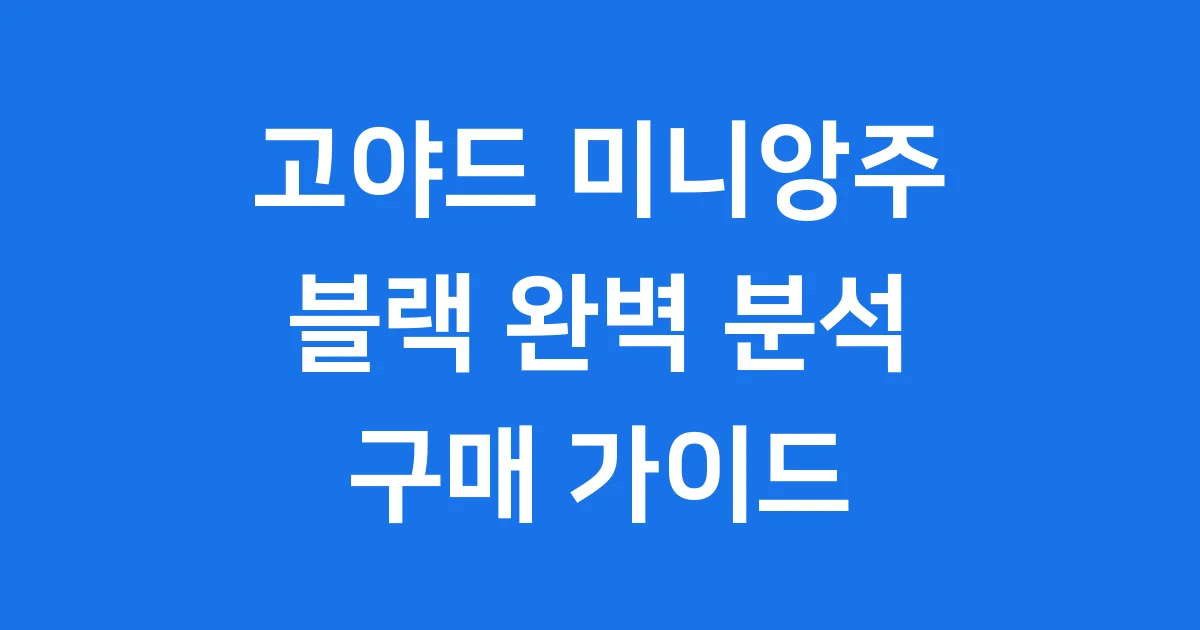 고야드 미니앙주 블랙 가격 특징 완벽 분석 1 고야드 미니앙주 블랙
