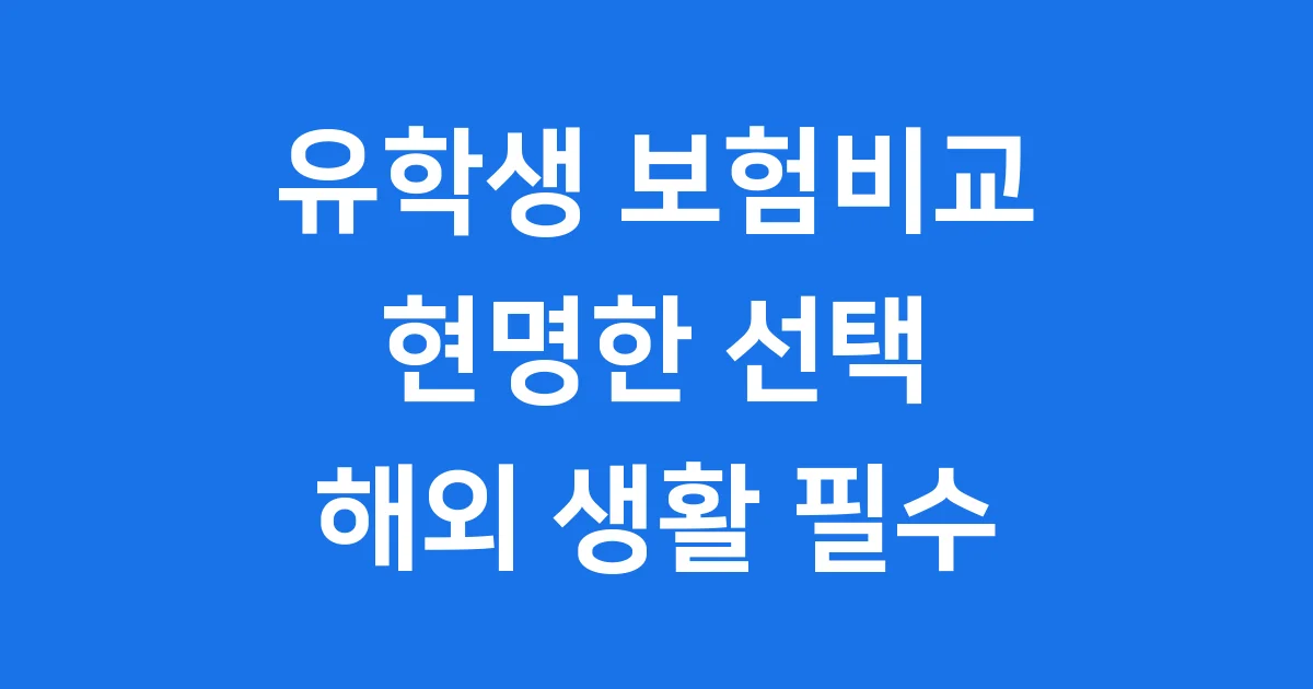 유학생 보험비교