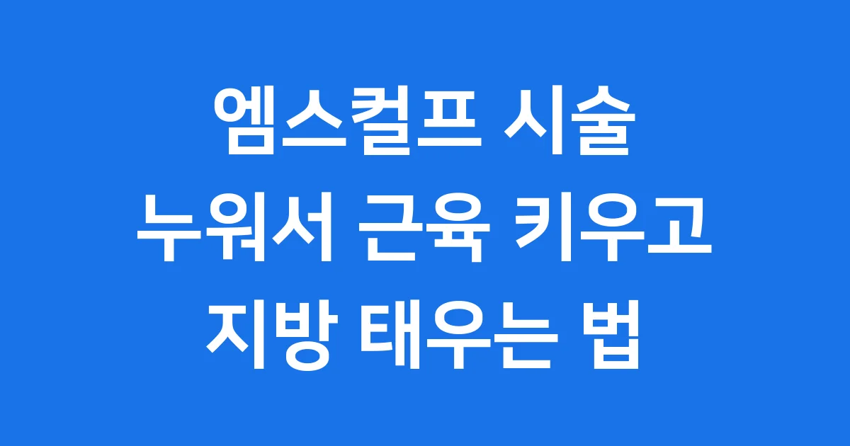 엠스컬프 누워서 근육 만들고 지방 태우는 시술 이야기