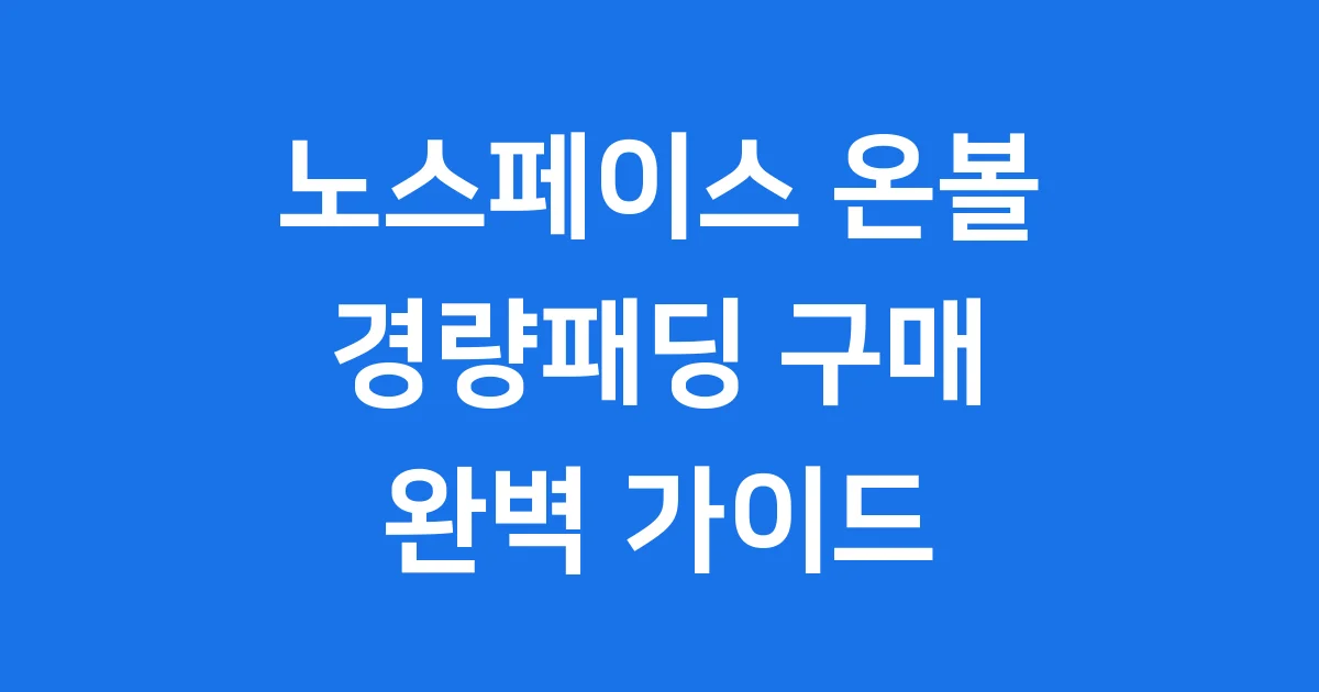 노스페이스온볼경량패딩