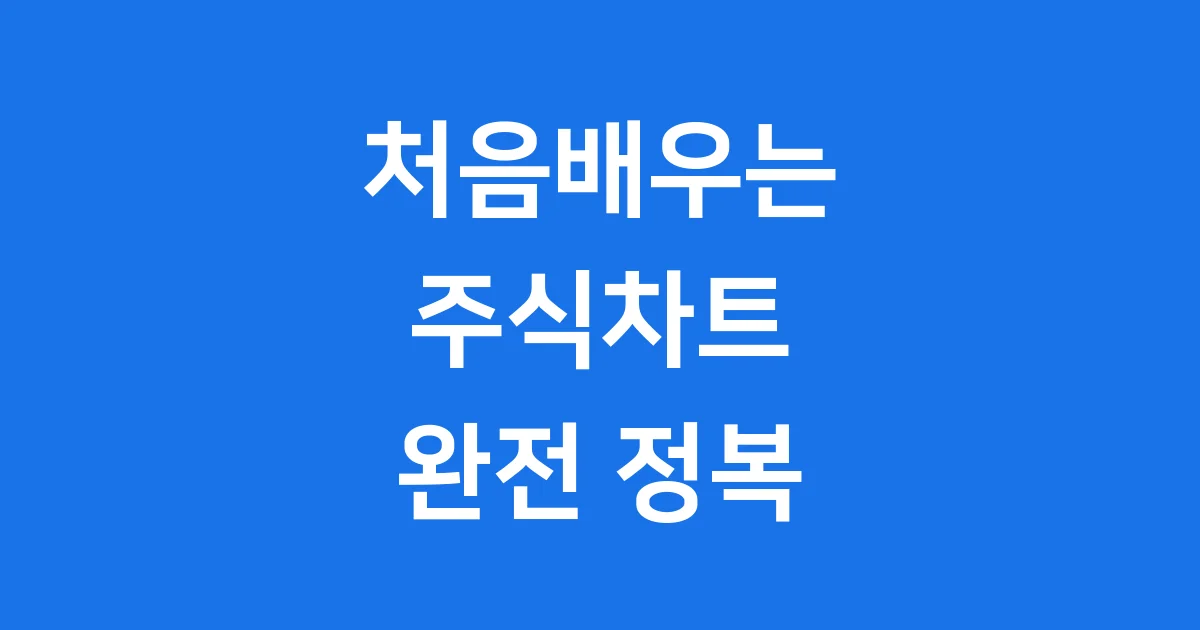 처음배우는 주식차트 보는법 초보 가이드