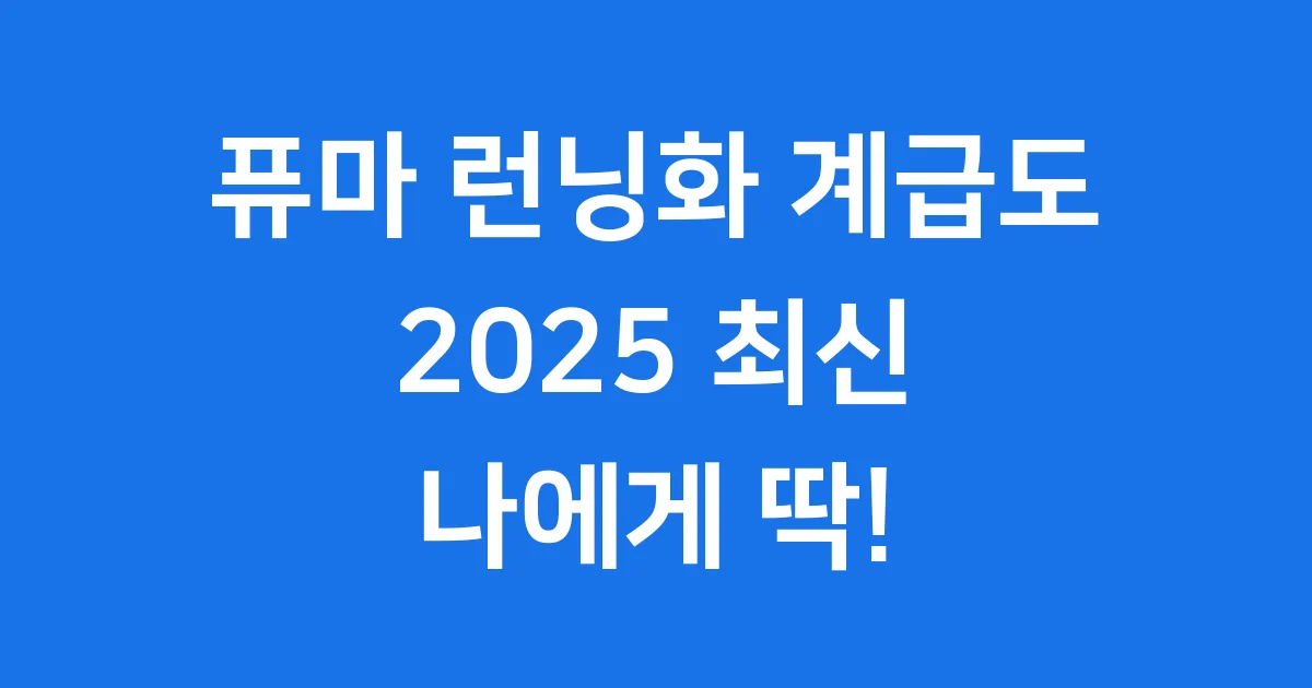 퓨마 런닝화 계급도 2025 추천 1 퓨마 런닝화 계급도 2025 추천