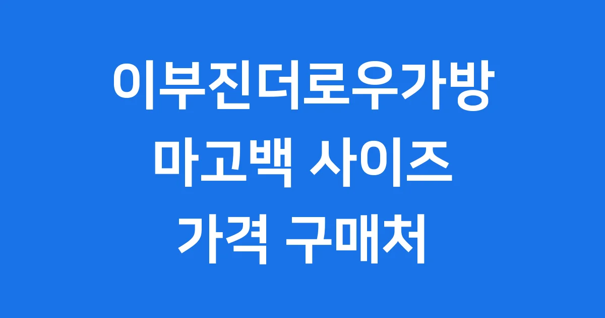 더로우가방 사이즈 가격 구매처 이부진