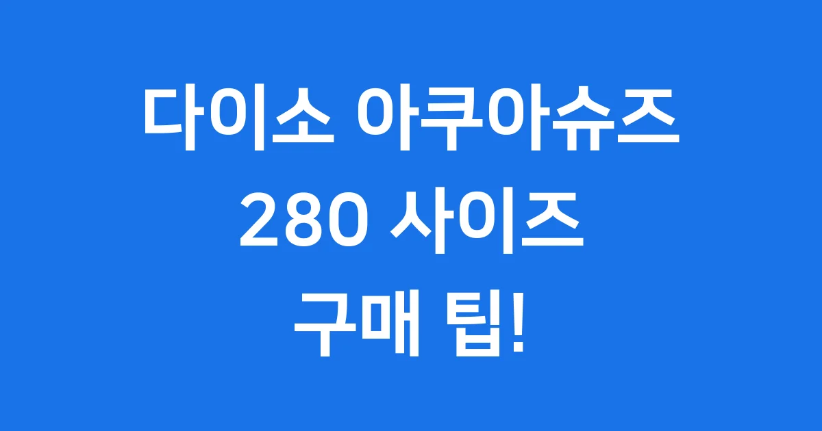 다이소 아쿠아슈즈 280 가격 사이즈 구매 팁