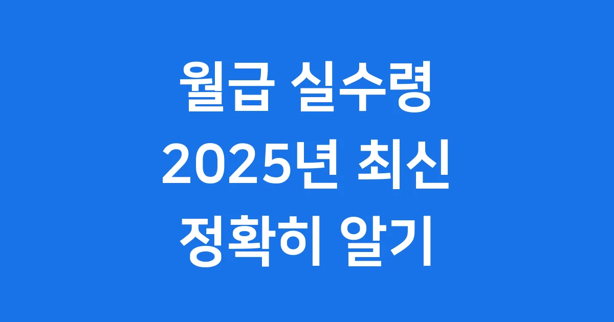 월급 실수령 계산기 2025년 최신 정보