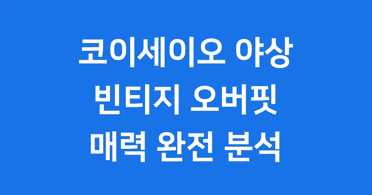 코이세이오 야상 빈티지 오버핏 매력 완전 분석