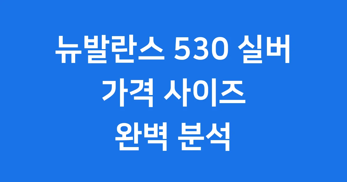 뉴발란스 530 실버 가격 사이즈 완벽 분석 1 뉴발란스 530 실버 가격 사이즈 완벽 분석