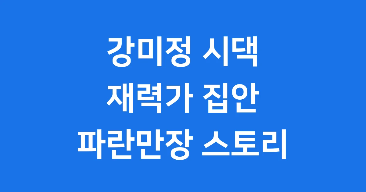 강미정 시댁 재력가 집안부터 이혼 소송까지