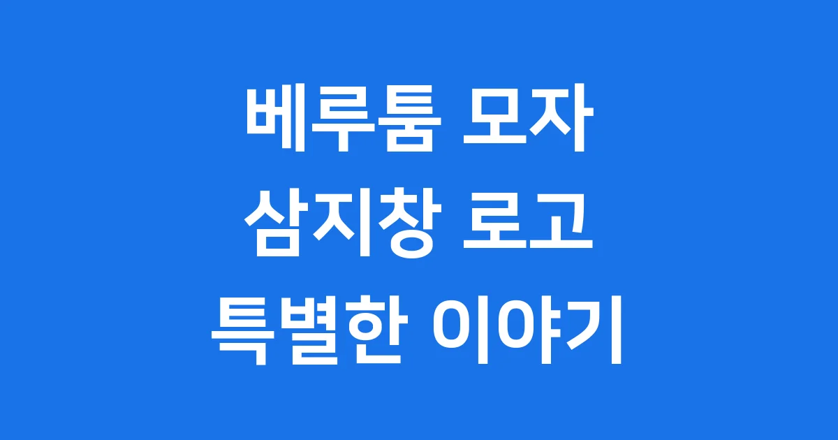 베루툼 모자 삼지창 로고 숨겨진 이야기 2024년