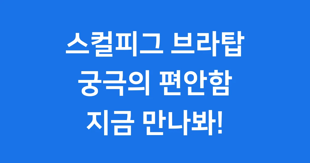 스컬피그 브라탑 추천 라인업 가격 후기