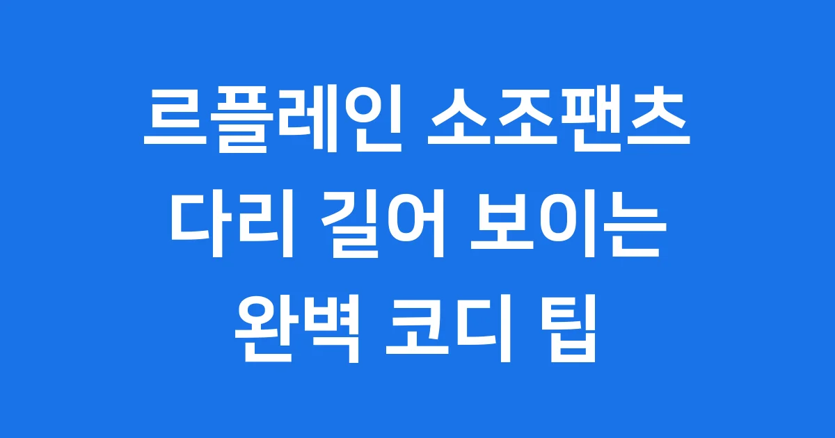 르플레인 소조팬츠 핏 가격 후기 완벽 정리