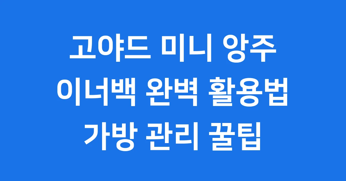 고야드 미니 앙주 이너백, 왜 필요한지 알려드릴게요!