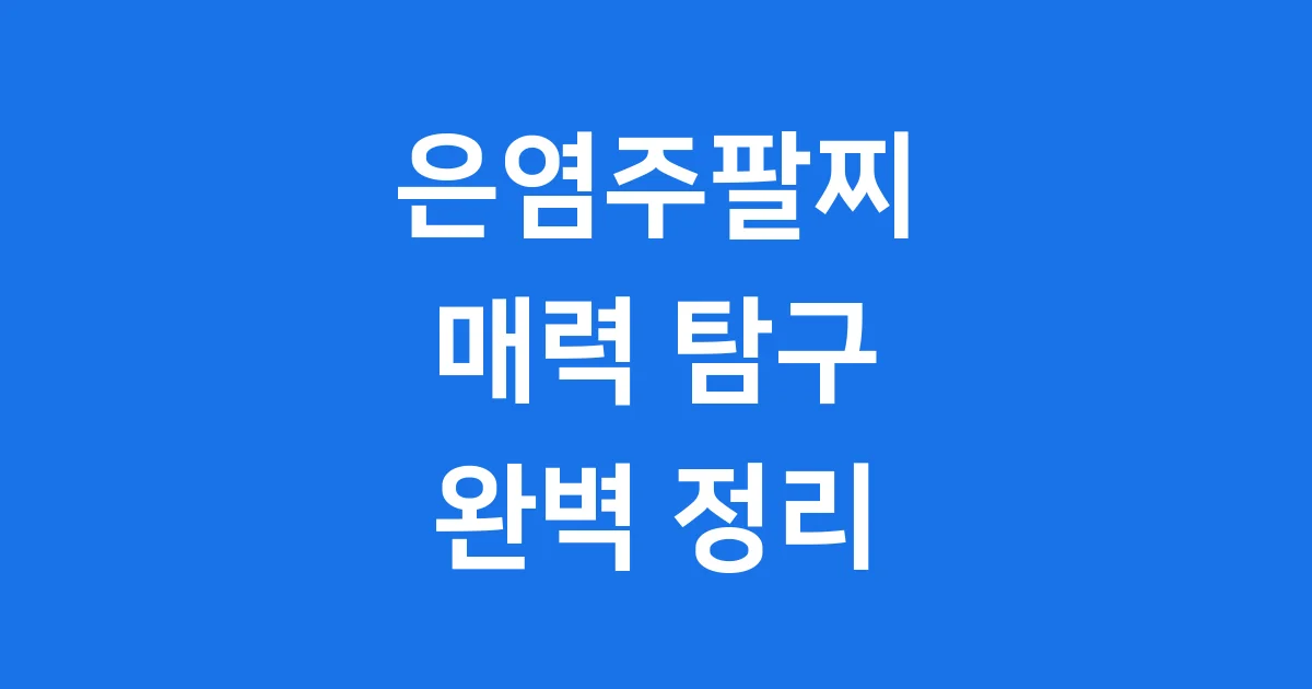 은염주팔찌의 모든 것
