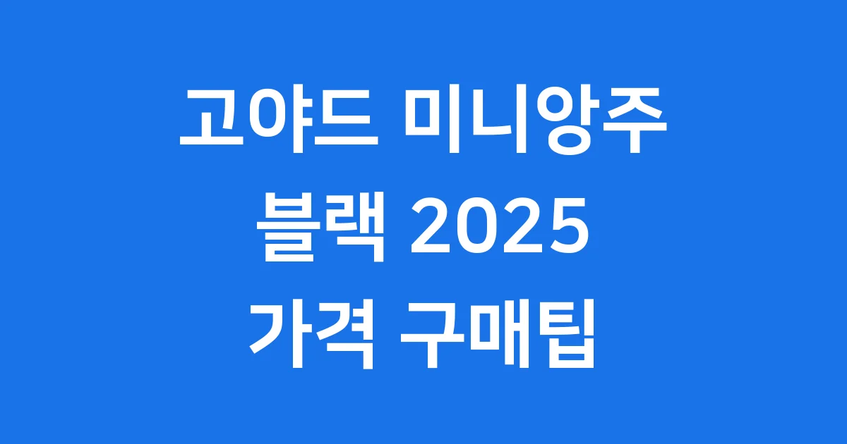 고야드 미니앙주 블랙 2025 가격 구매팁