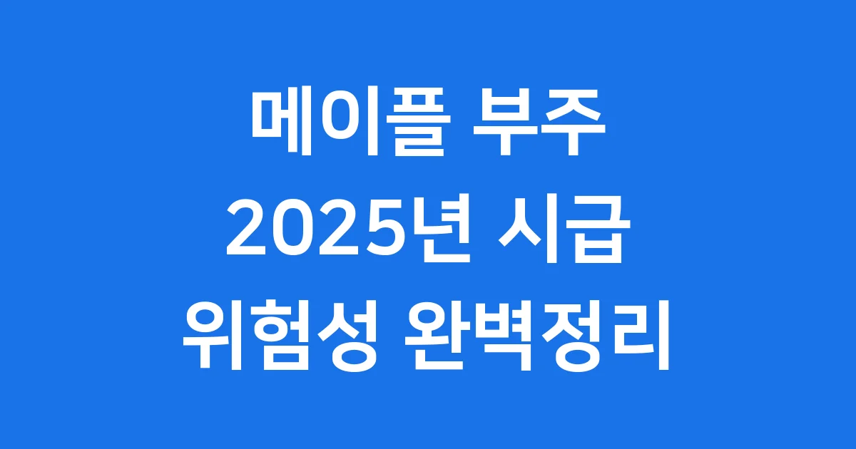 메이플 부주: 2025년 시급과 조심해야 할 점