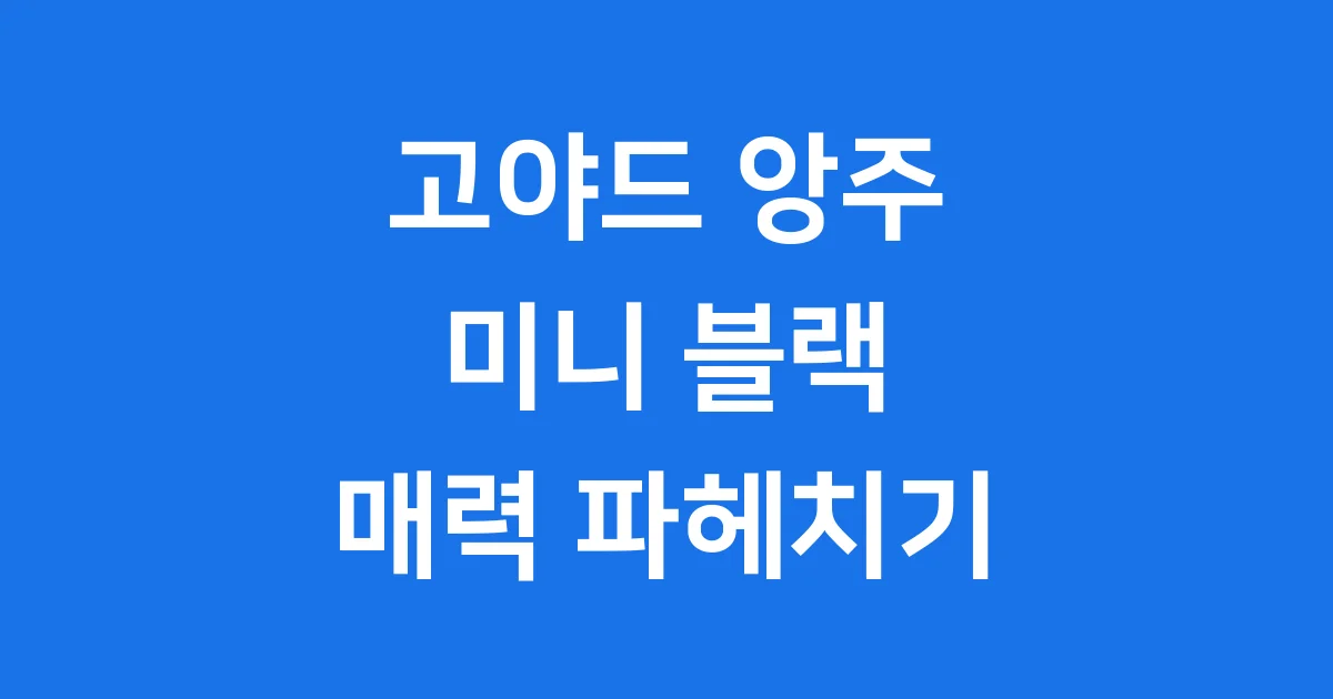 고야드미니 앙주 블랙 가격 구매 팁 알아봐요