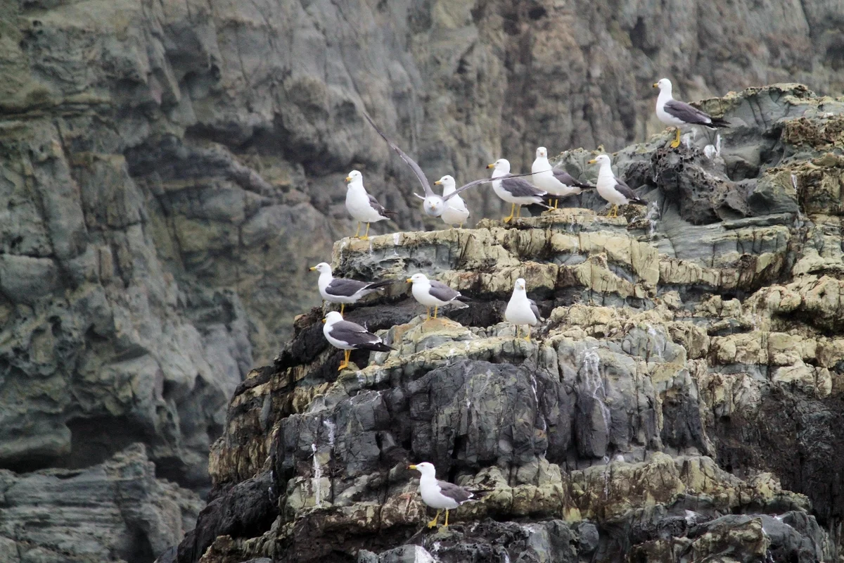 거제바람의언덕 유적지 BEST 5, 2026 봄 추천 여행 코스 5 해금강 - 거제여행 여행