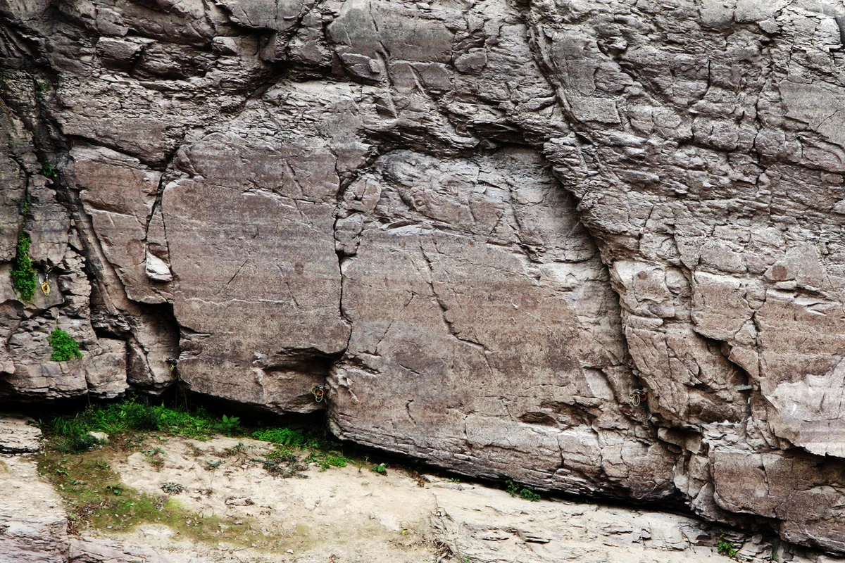 반구대암각화 - 반구대암각화 여행