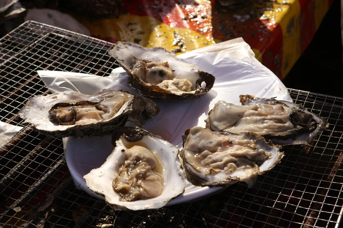 하동군 래프팅 (출처 : 한국관광공사)